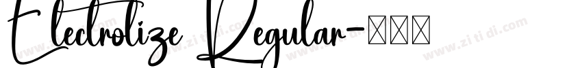 Electrolize Regular字体转换